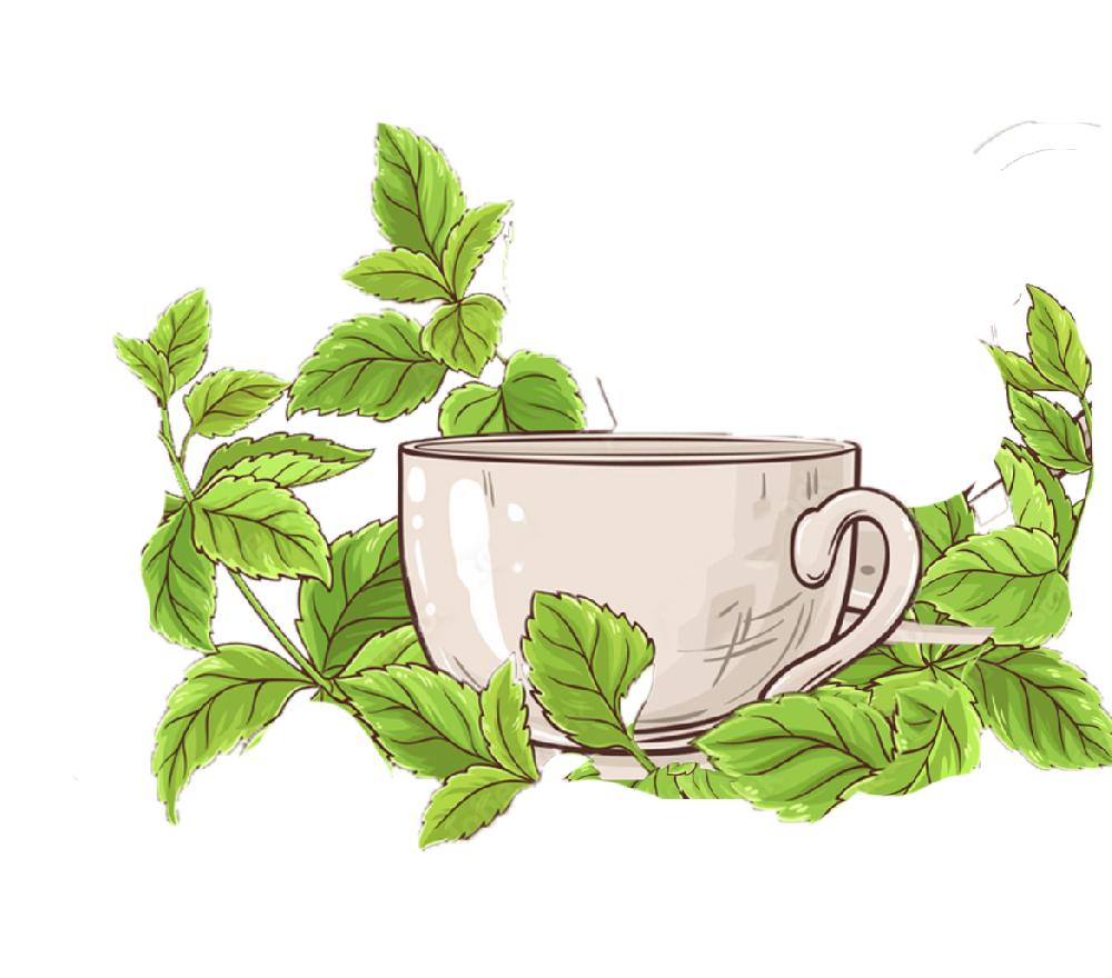 Peppermint Tea