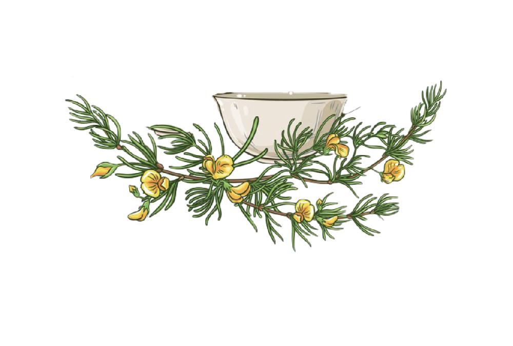 Rooibos Vanilla Tea