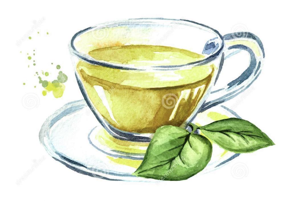 Cup of green tea