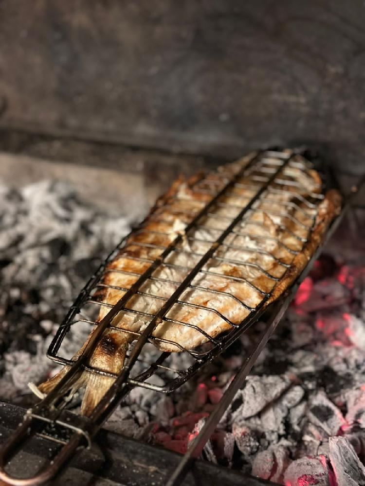 Forel setkada