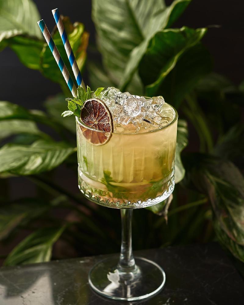 Tropic Lady