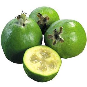 Feyxoa ( mövsümə uyğun ) 