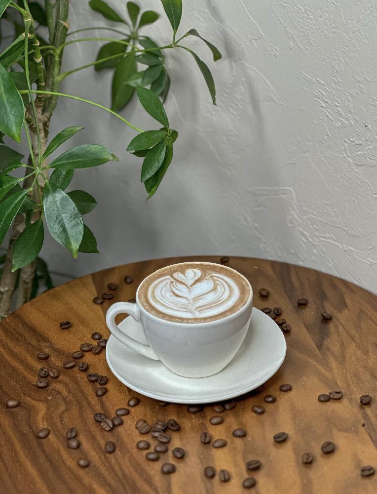 Black Mocha