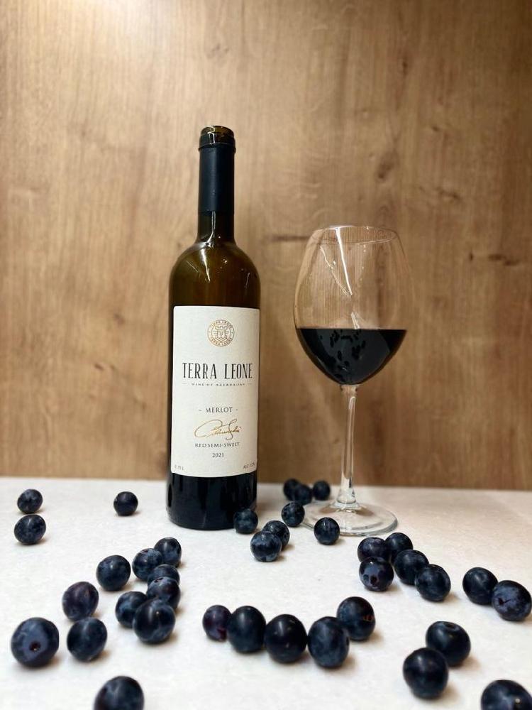 Terra Leone Shiraz/Leone Merlot red 