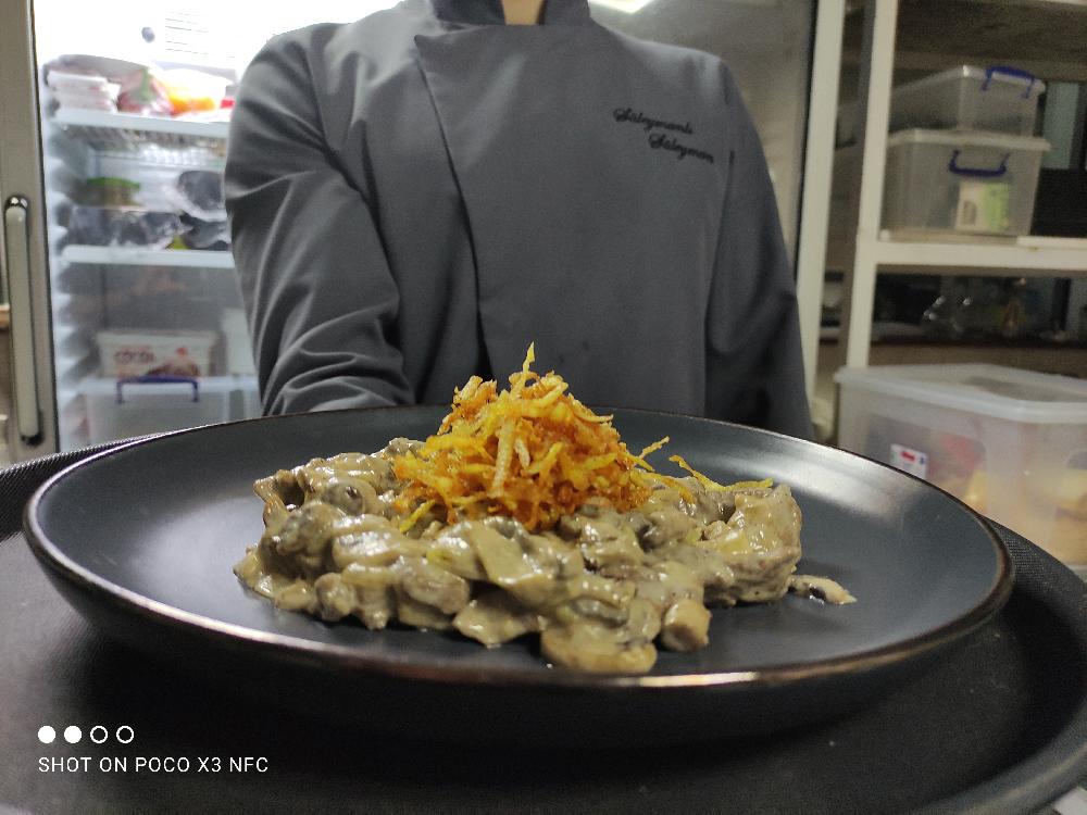 Toyuq Stroganoff 