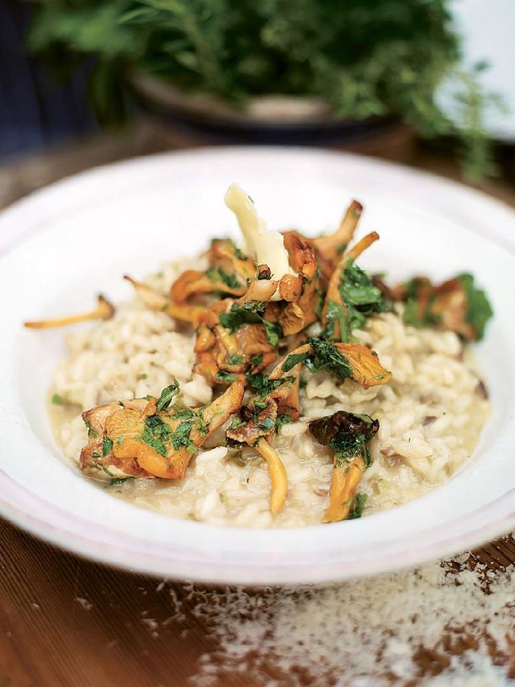 RISOTTO MUSHROOMS