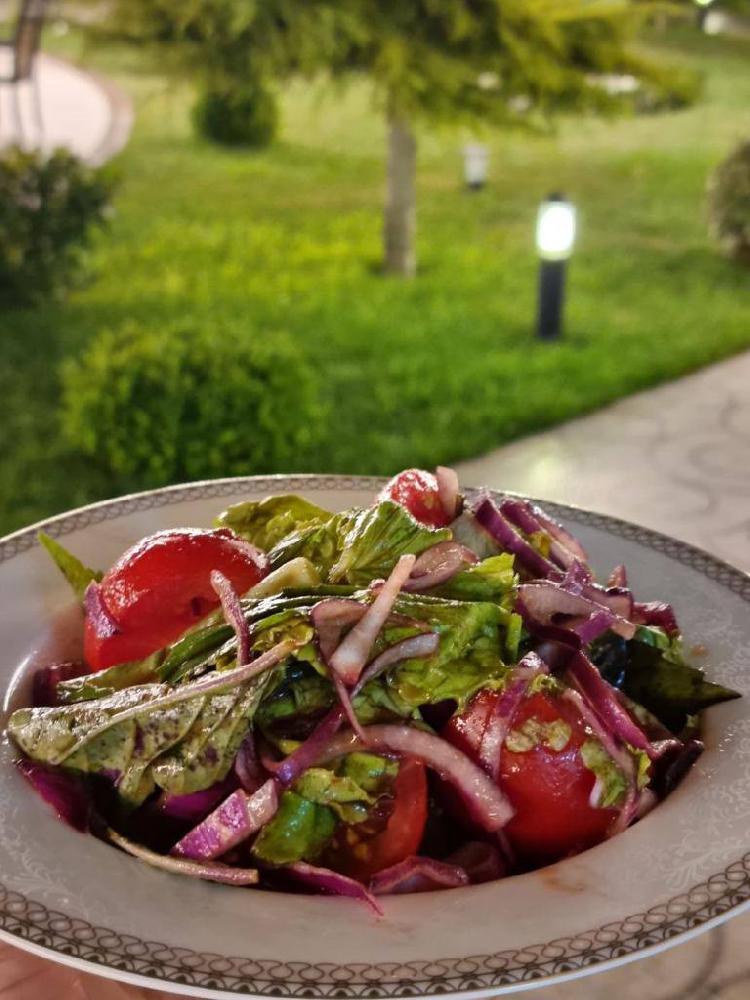 N Garden salatı