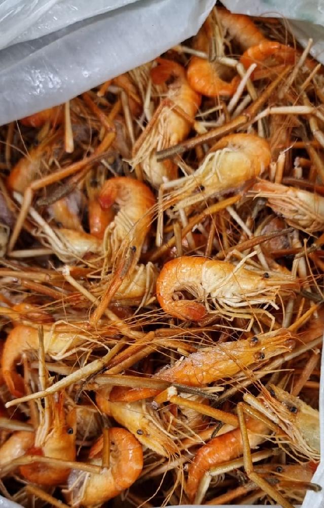 Krevetka