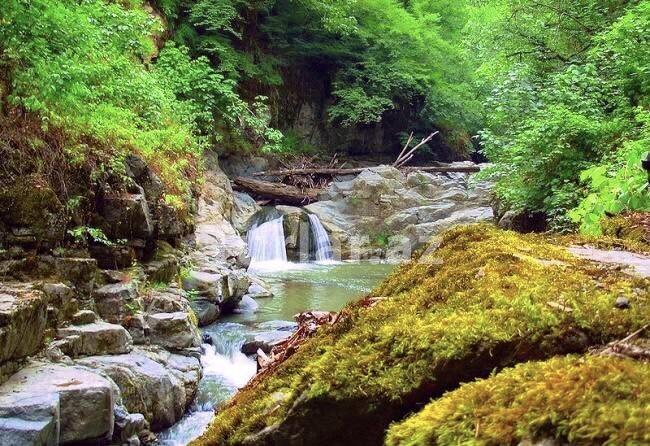LANKARAN