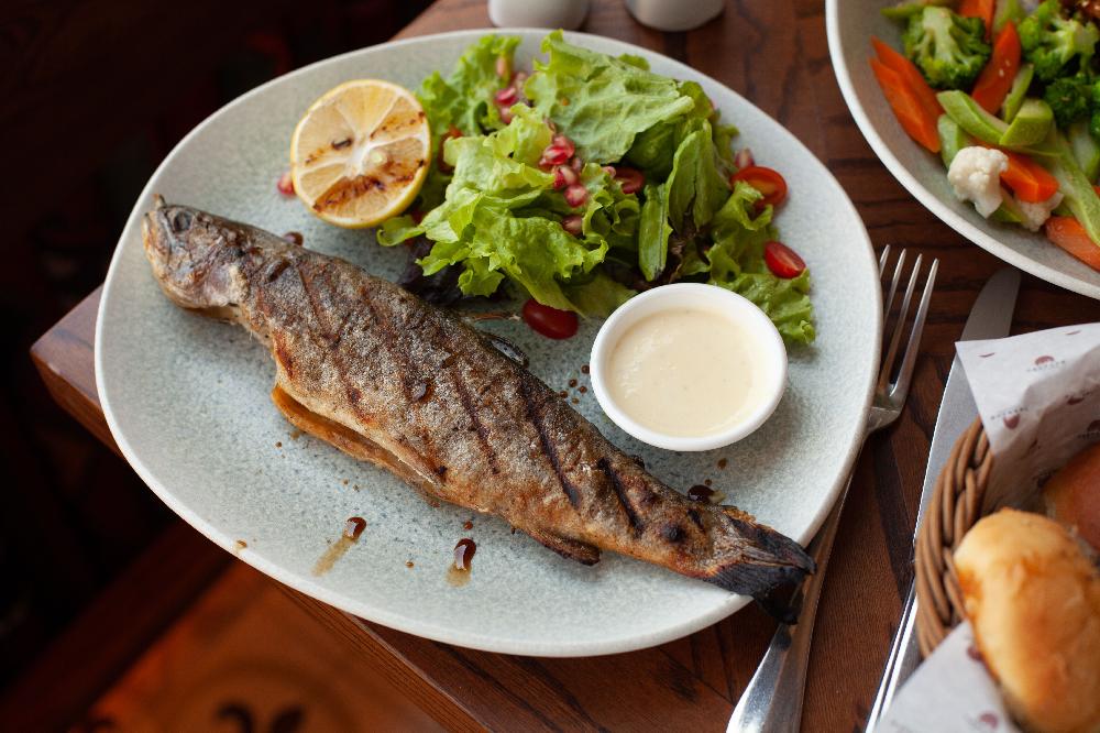 FOREL BALIĞI QRİLDƏ