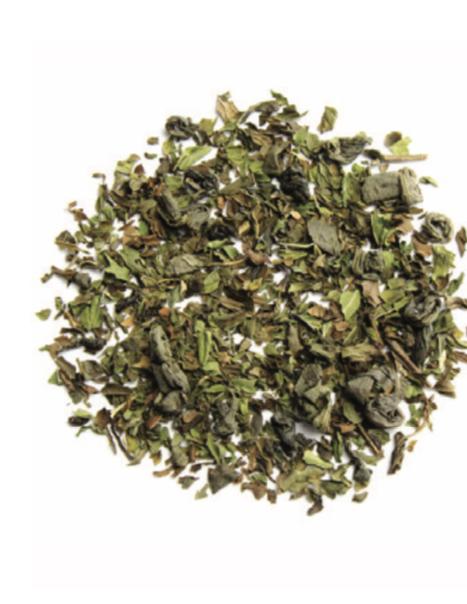 CASABLANCA MINT
