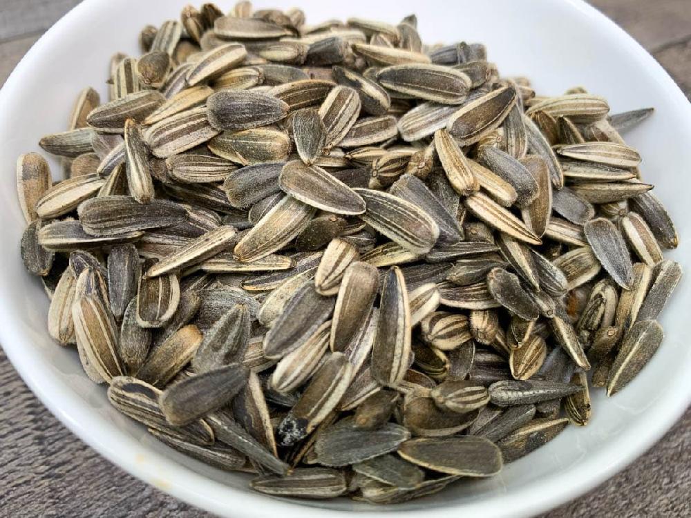Günəbaxan tumu