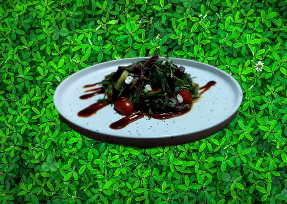 Le Farn salatı