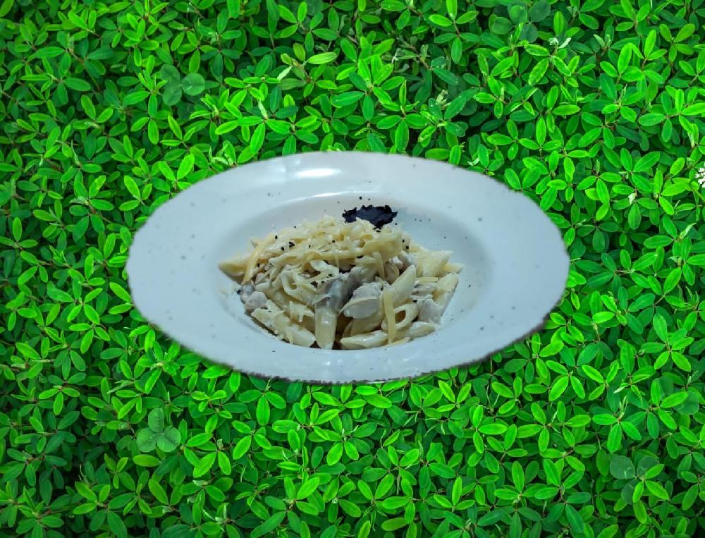 Penne Alfredo