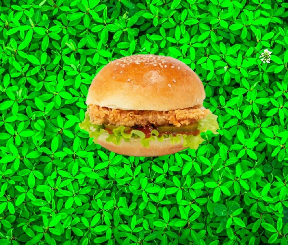 Chicken Burger