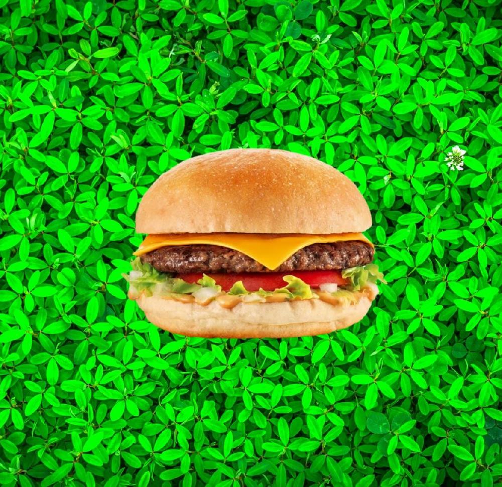 Beef Burger