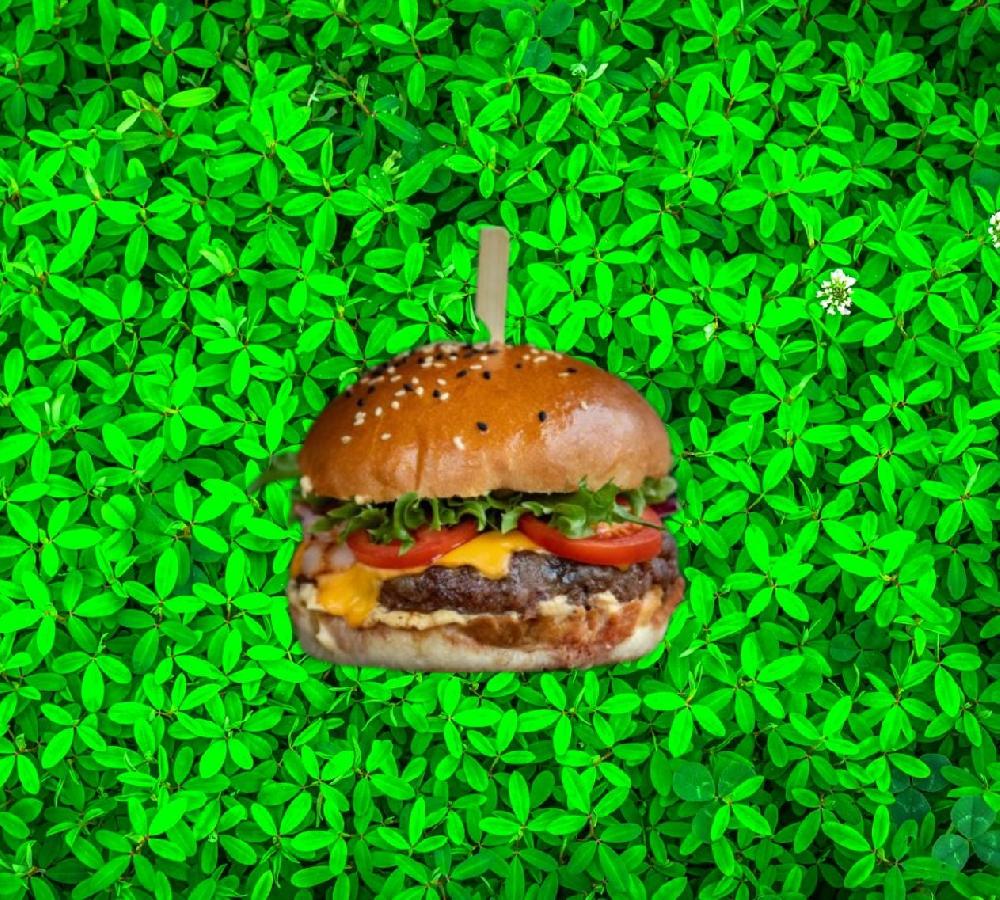 Western burger