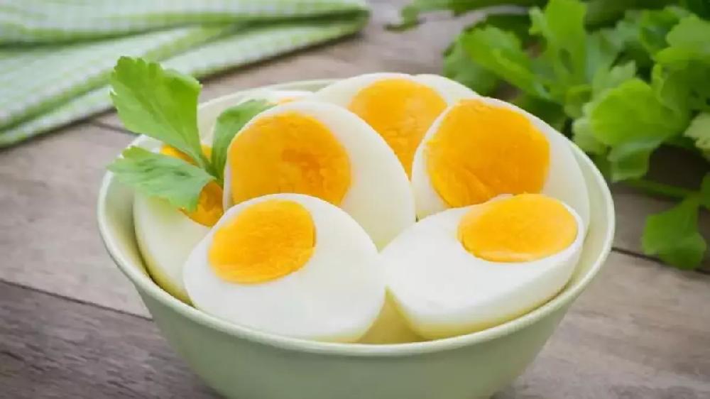 Yumurta 
