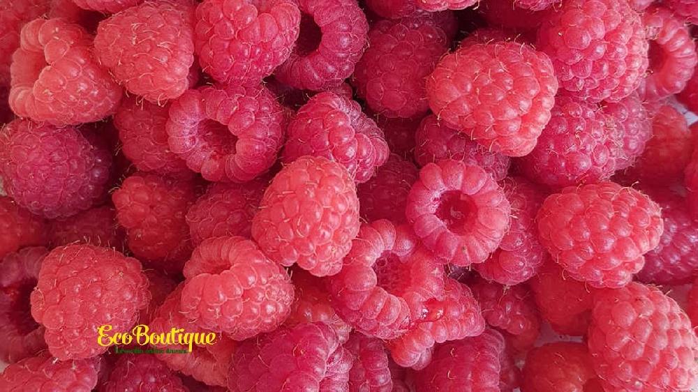 Moruq - NETHERLANDS 125 qr