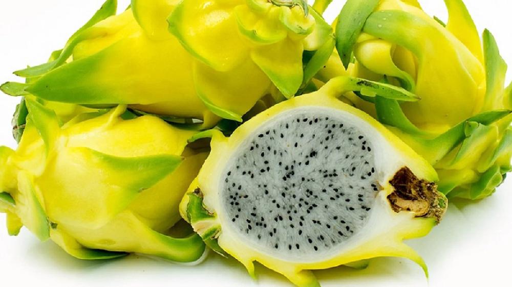 Pitahaya Sarı/ Dragon Fruit - 1 əd.