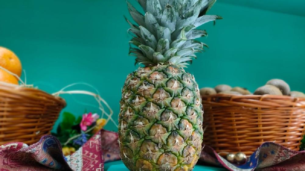 Ananas Gold-1əd