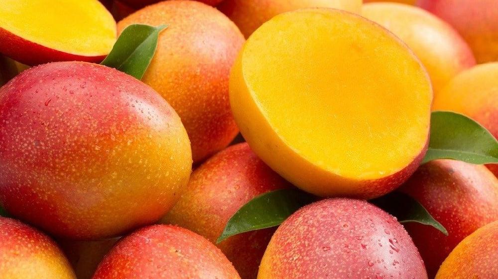 Kent Mango - 1 əd.