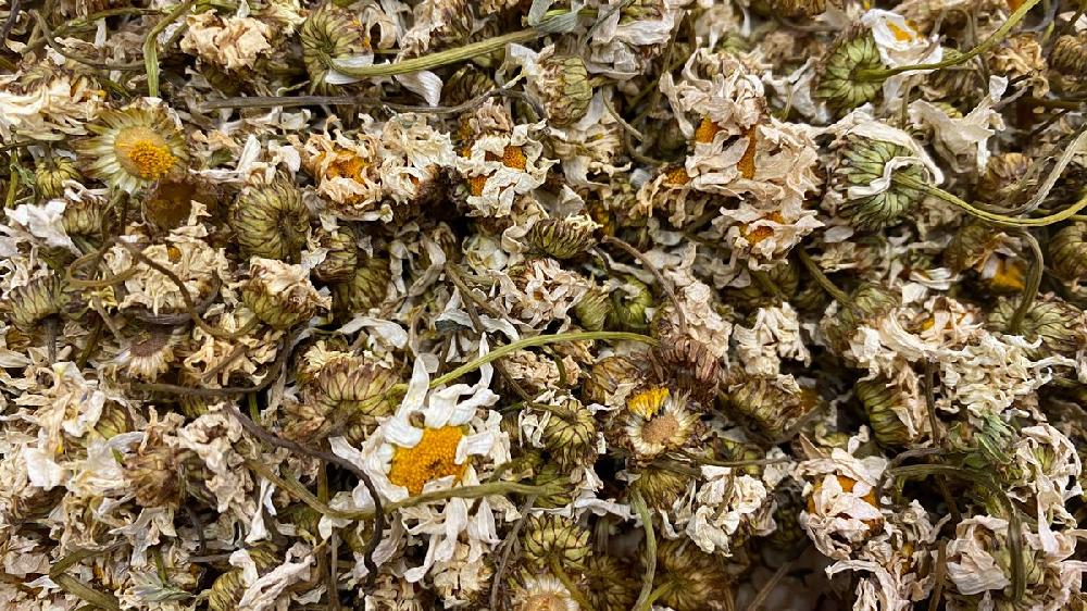 Çobanyastığı  Çay - 100 qr