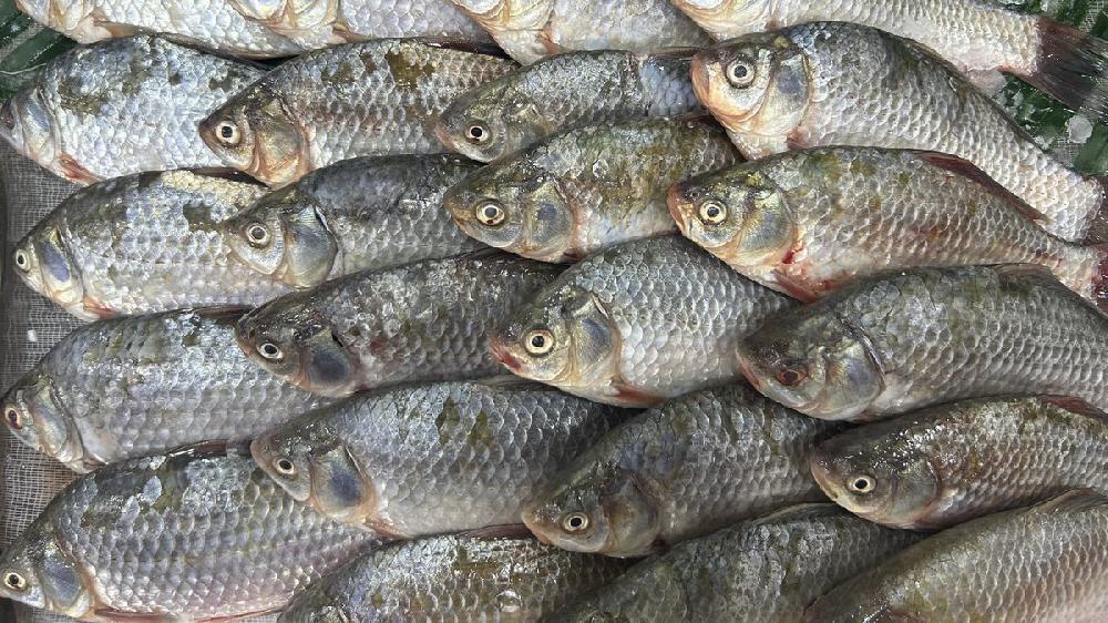 Karas 1kg