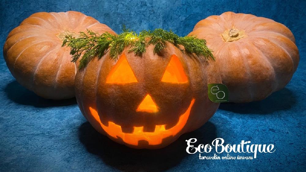 Halloween Balqabaqı - 1 əd.