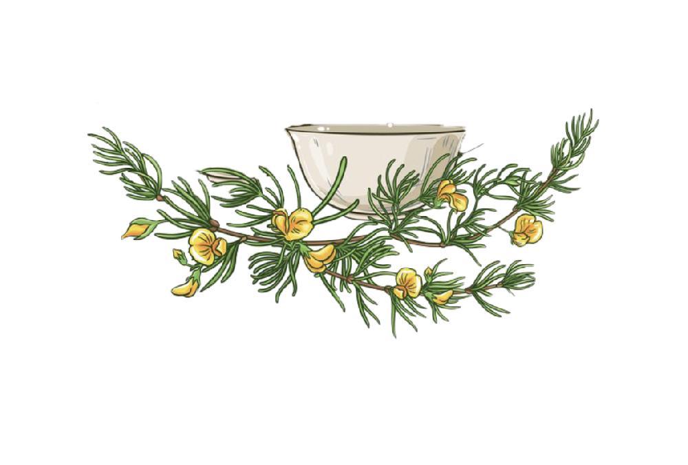Rooibus vanilla tea