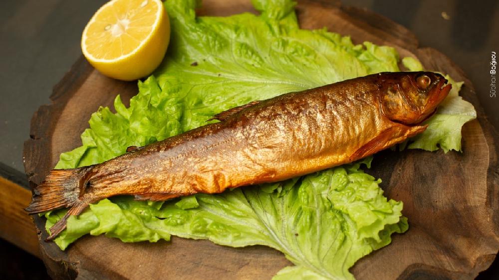 Forel