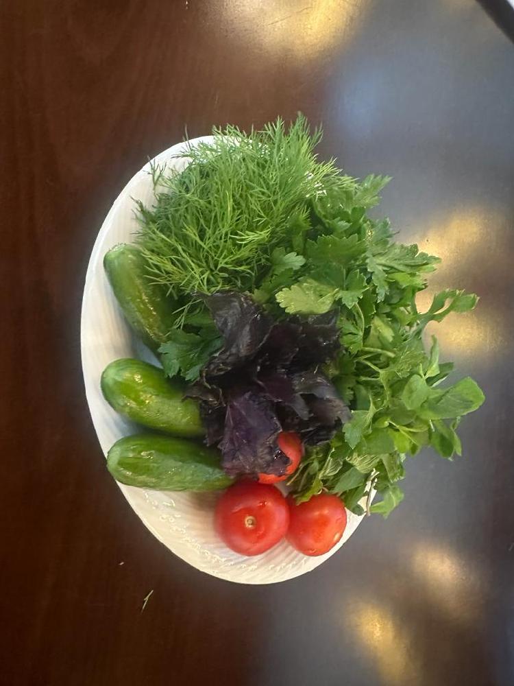 Təzə Salat