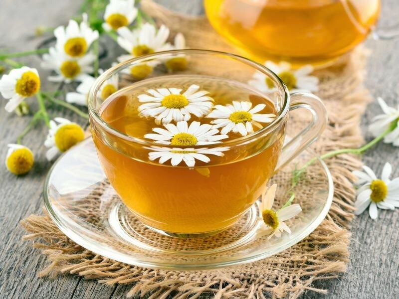 Chamomile