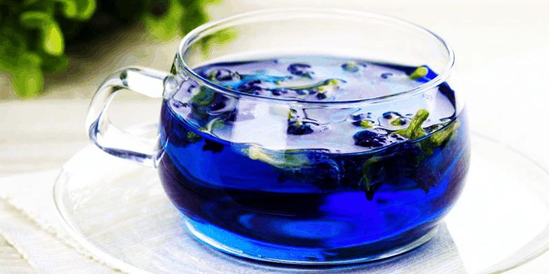 Blue Tea Butterfly Pea