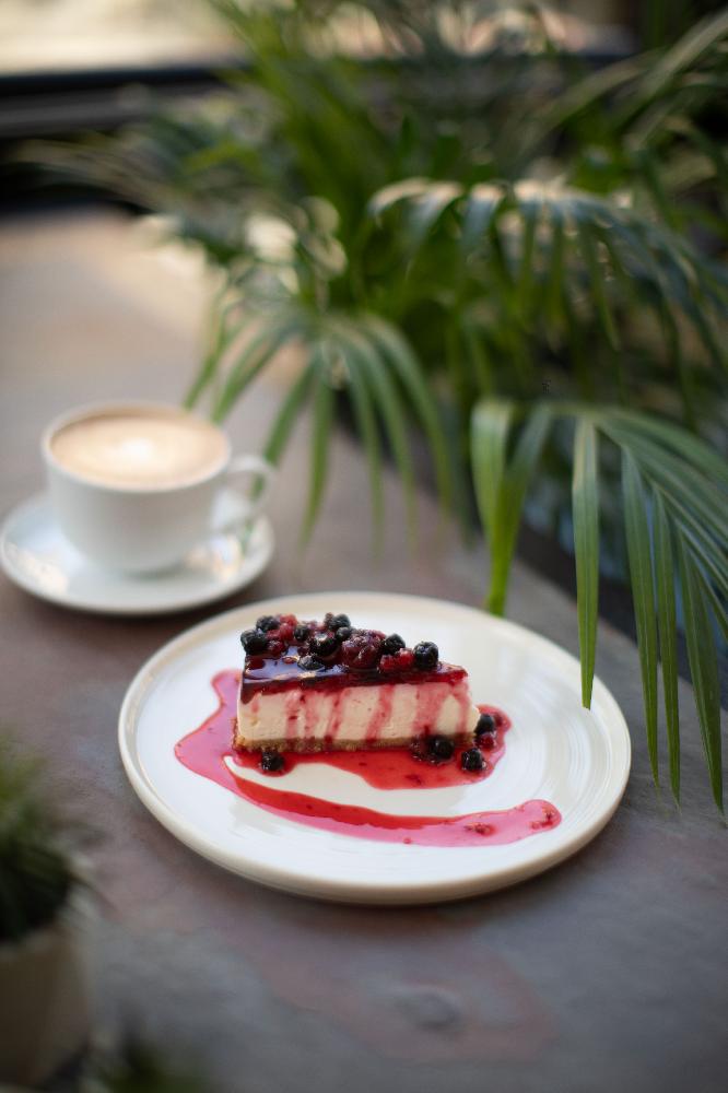 GİLEMEYVELİ SOYUQ CHEESEECAKE 