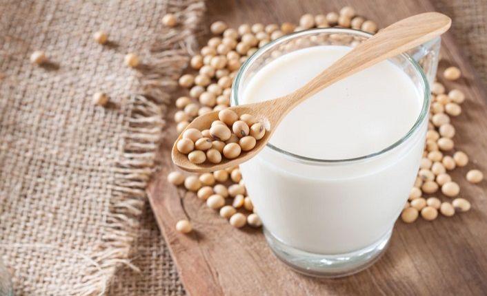 Soya süd