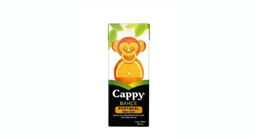 CAPPY MEYVƏ ŞİRƏSİ (200 ML)