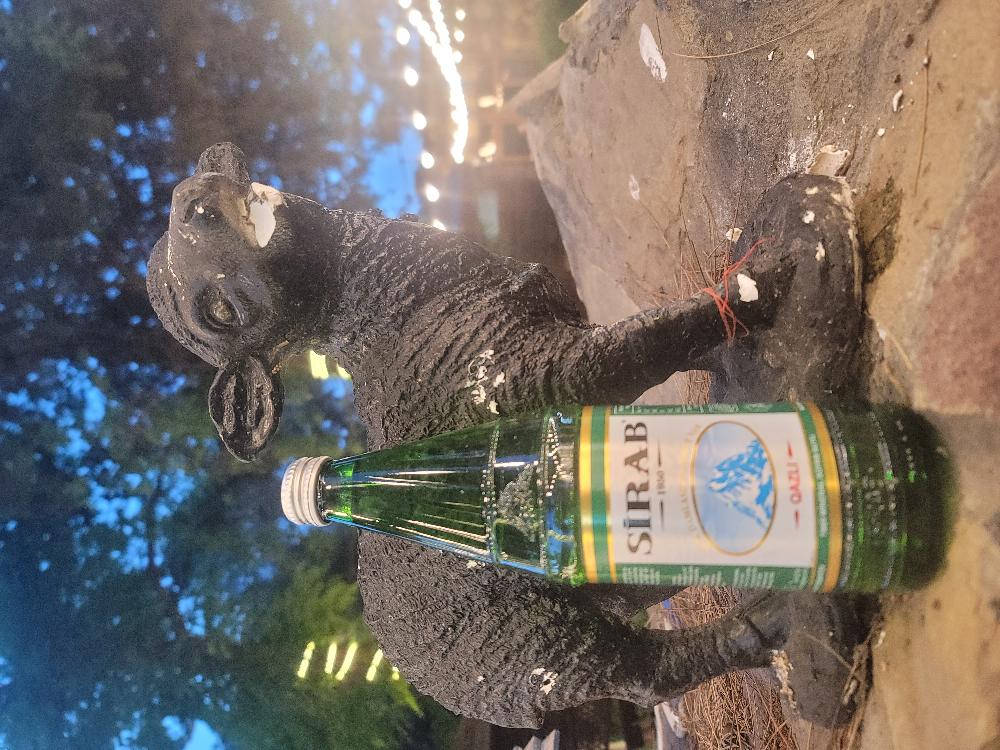 Sirab Qazlı 500ML