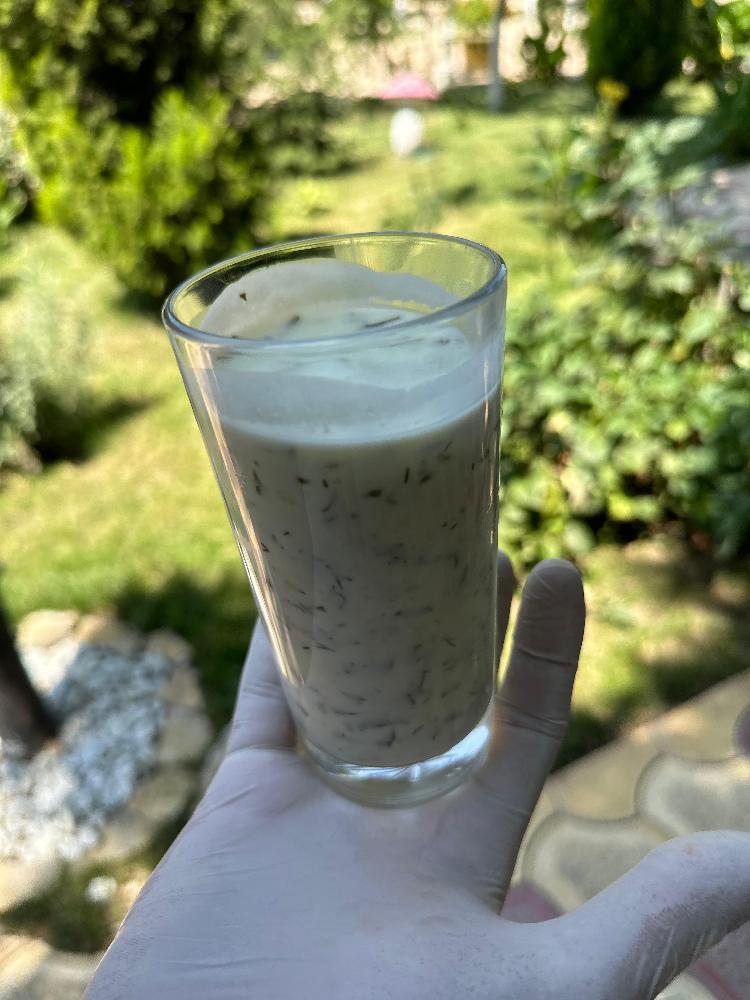 DOVĞA 
