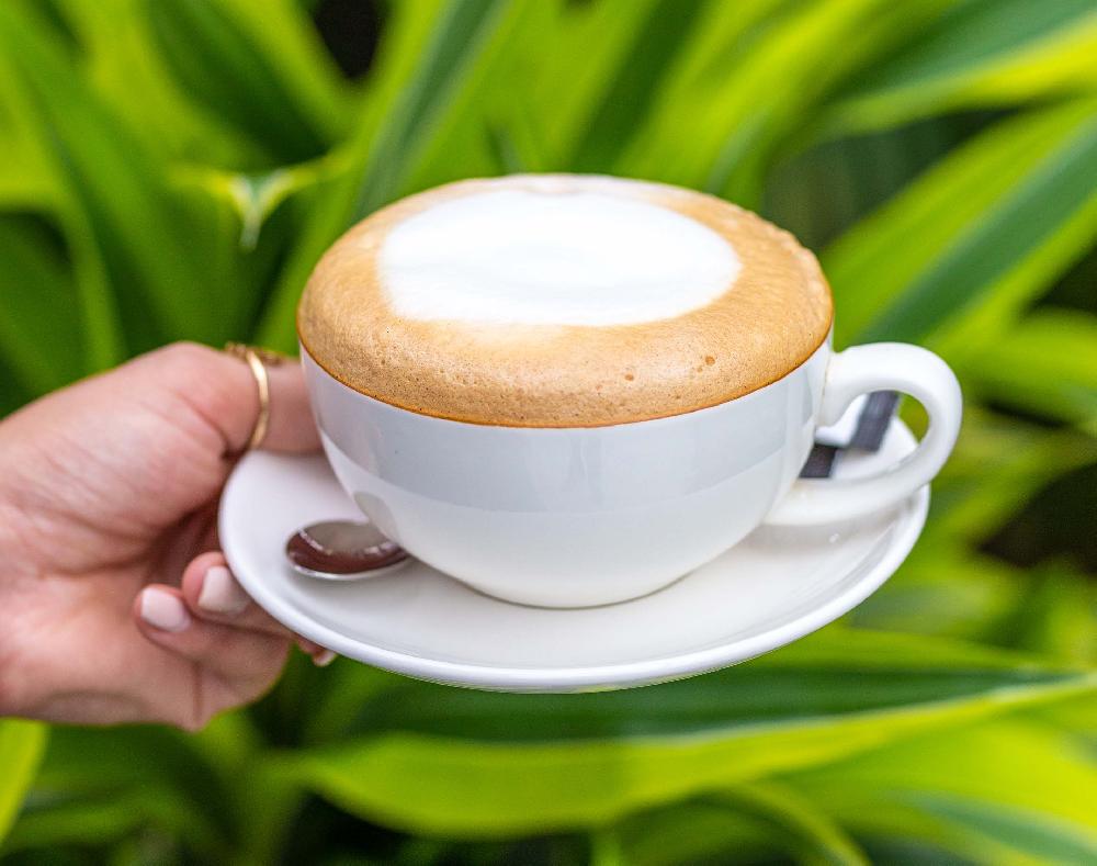 Cappuccino
