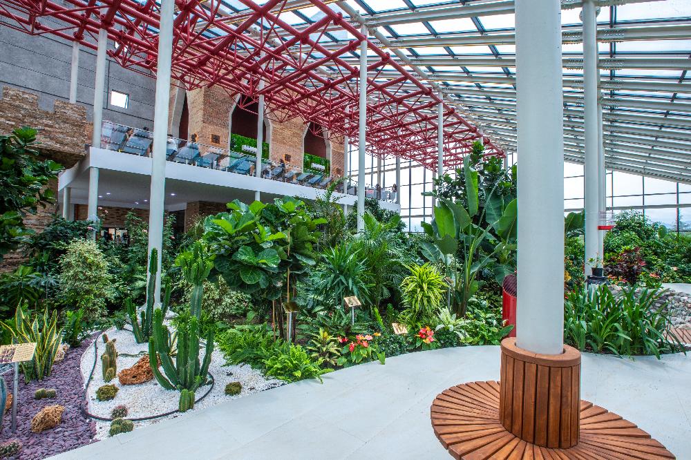Interior view 2
