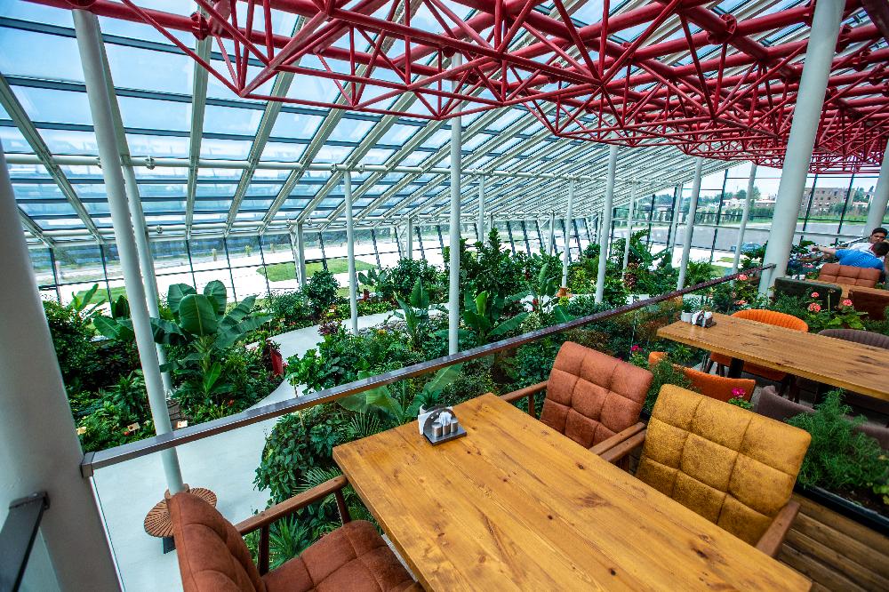Interior view 5