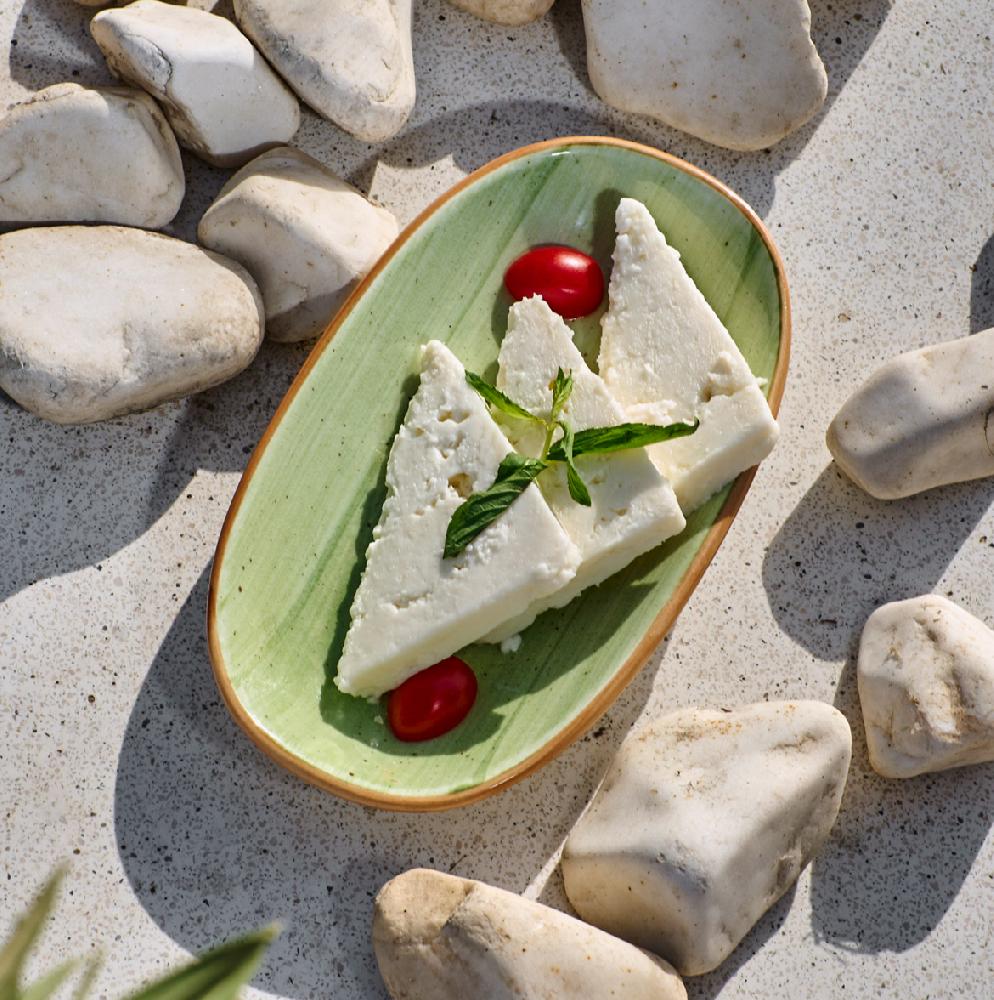 Cheese of Ezine