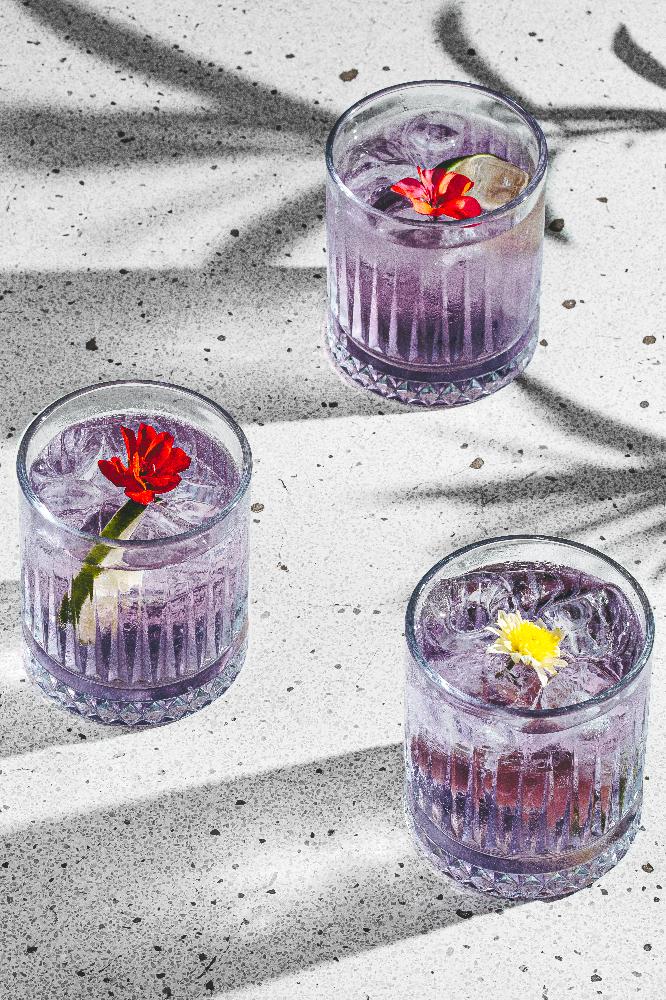Gin Tonik