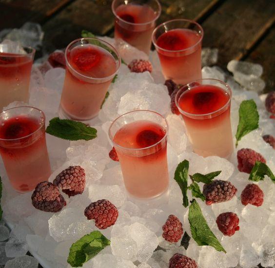 Raspberry Passion Shot 6