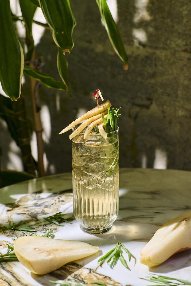 Elderflower Lemonade