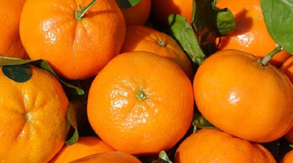 Mandarin