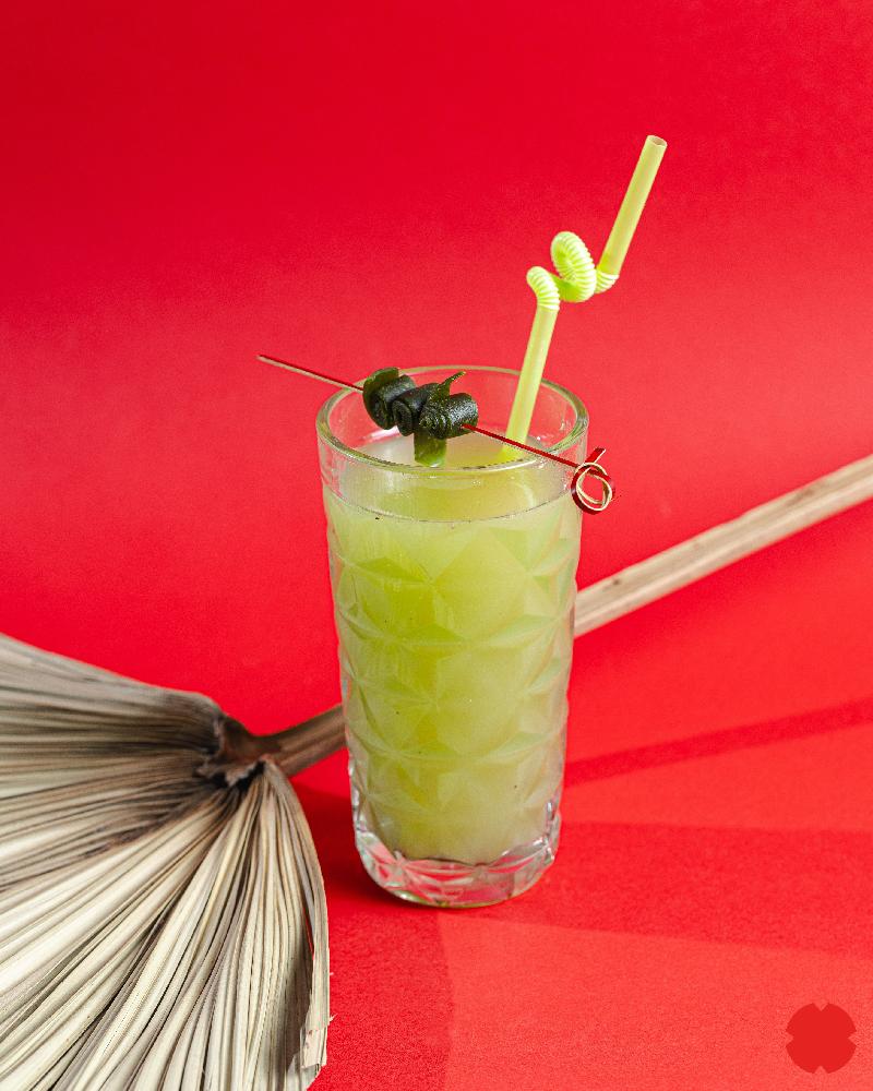 Kiwi-Energizer