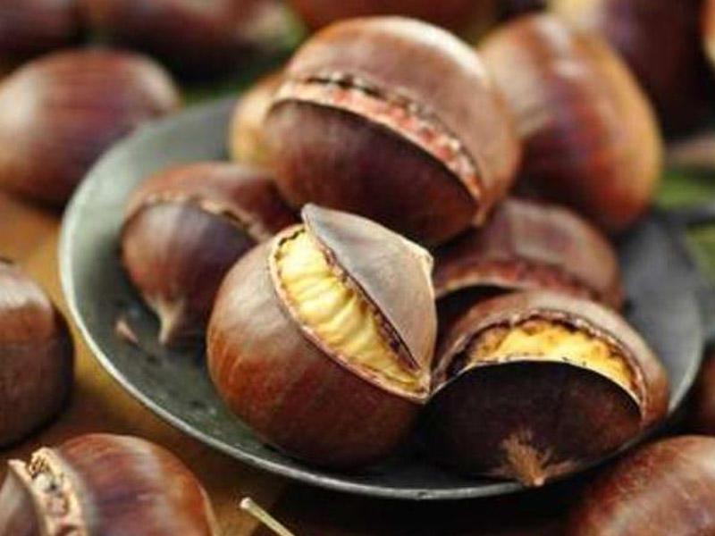 Qovrulmuş şabalıd 