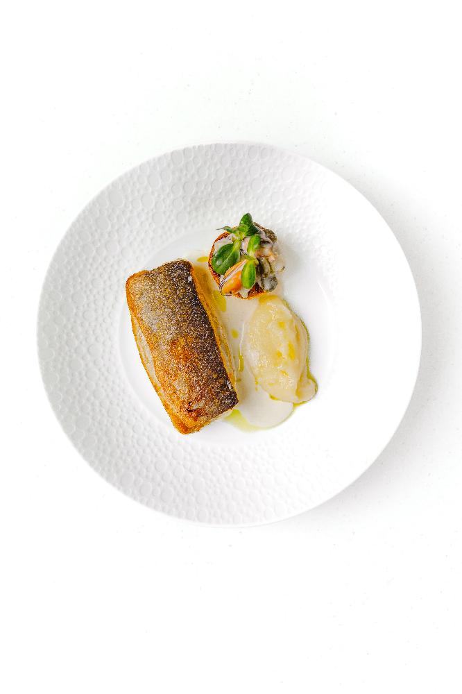Pandella Sea Bass (200qr)